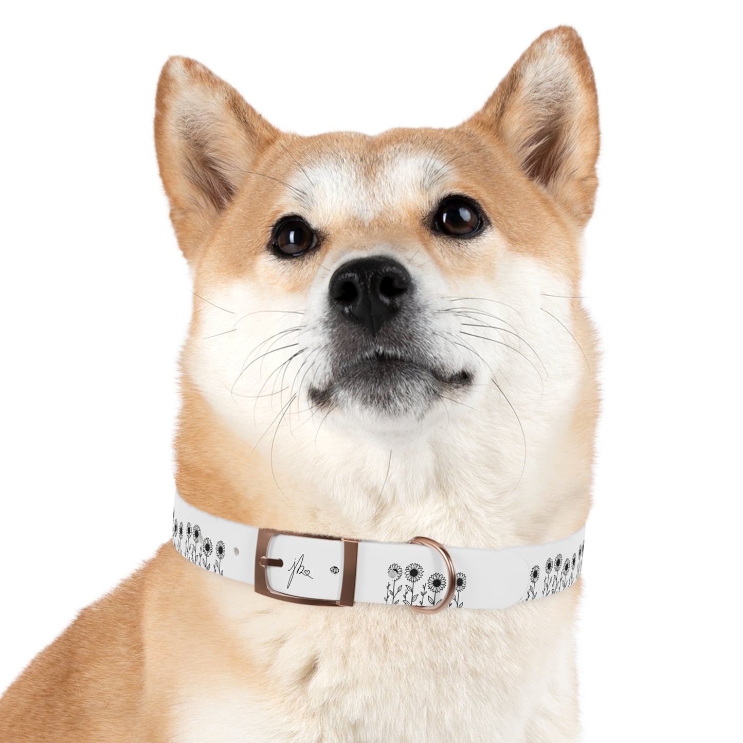 Dog Collar — Sunflower Signature Collection by Juli