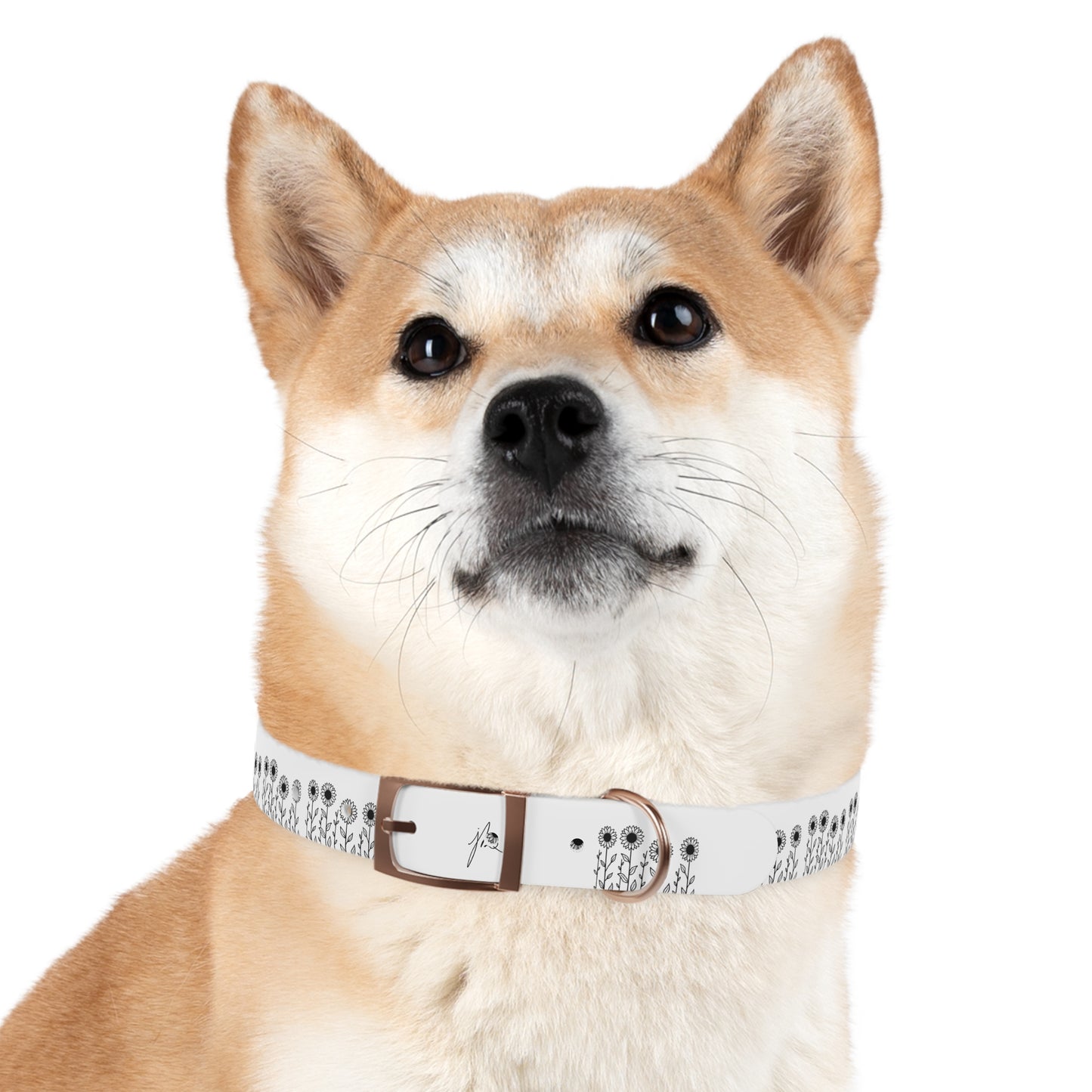 Dog Collar — Sunflower Signature Collection by Juli