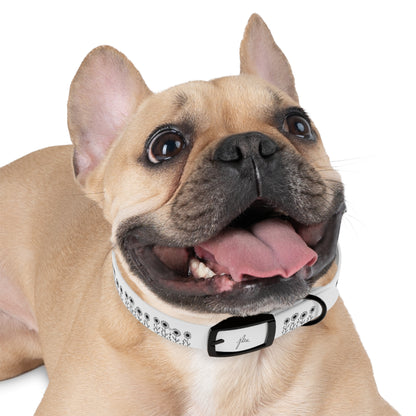 Dog Collar — Sunflower Signature Collection by Juli