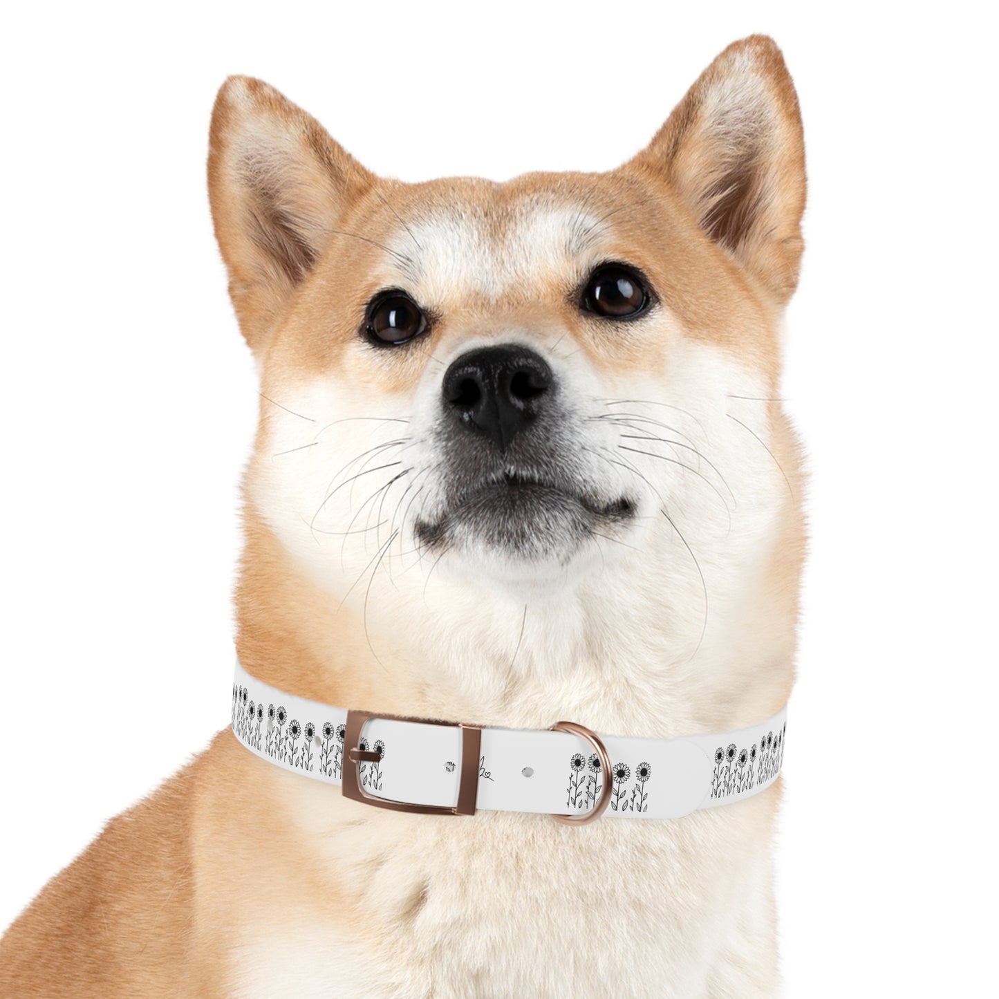 Dog Collar — Sunflower Signature Collection by Juli