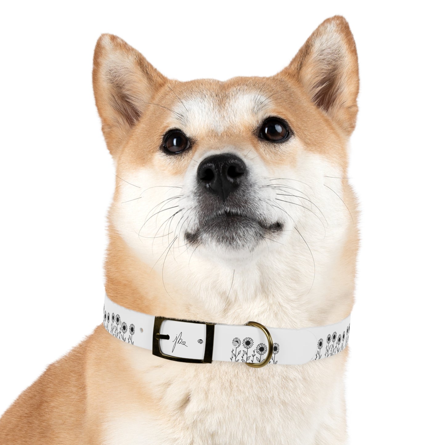 Dog Collar — Sunflower Signature Collection by Juli